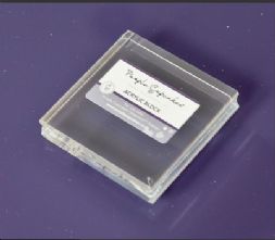Purple Cupcakes 7cm Square Acrylic Icing Stamp Block